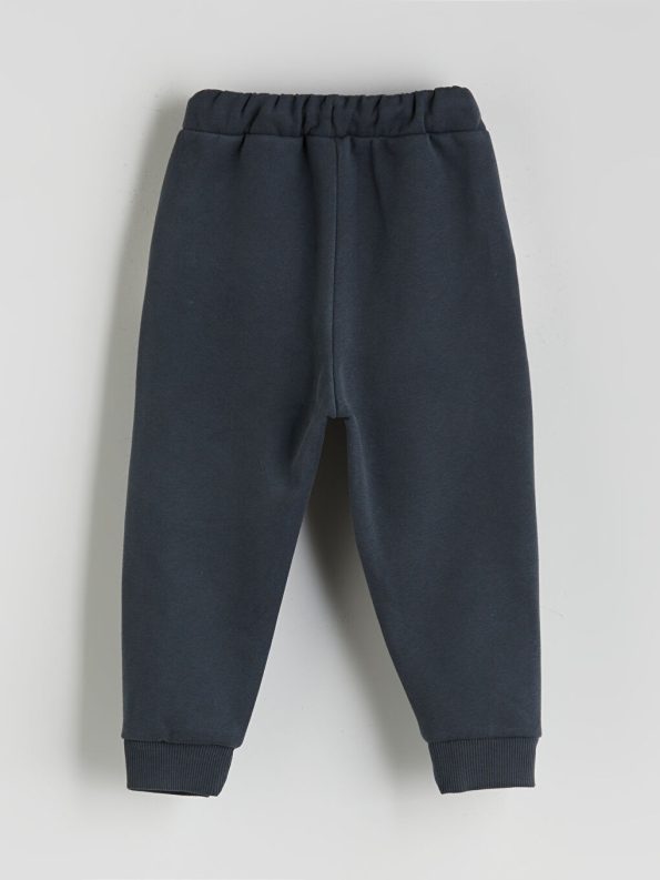 Printed Crew Neck Sweatshirt for Baby Boys