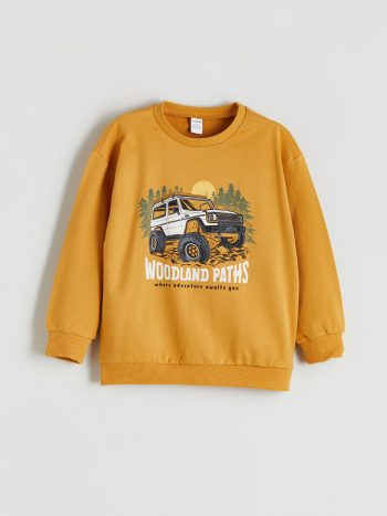 Dinosaur Print Boys' Sweatshirt and Jogger Set