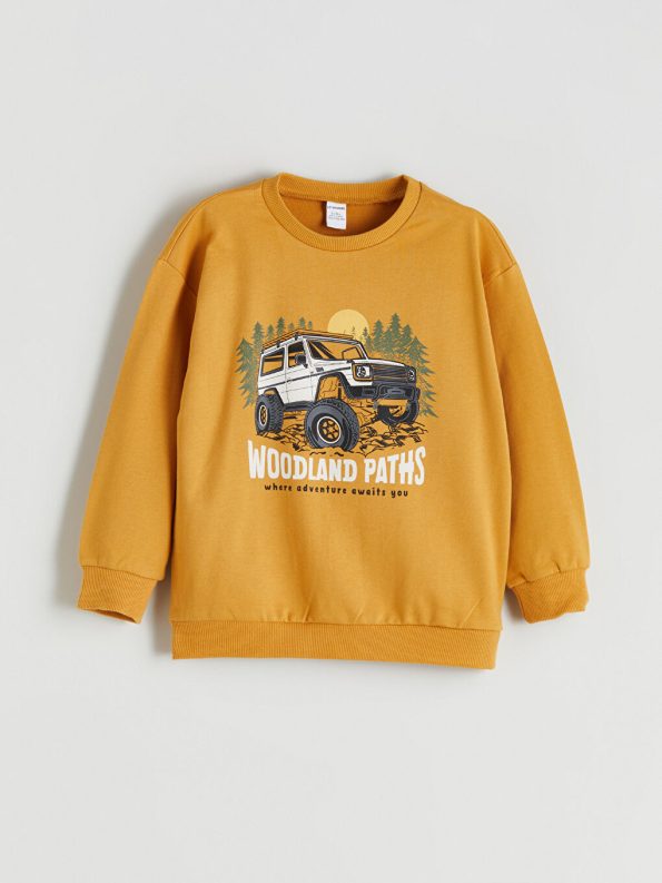 Dinosaur Print Boys' Sweatshirt and Jogger Set