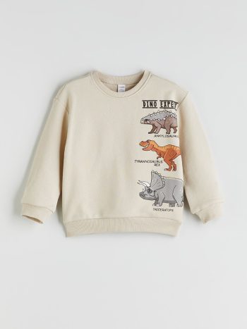 Long Sleeve Basic Boys' Shirt