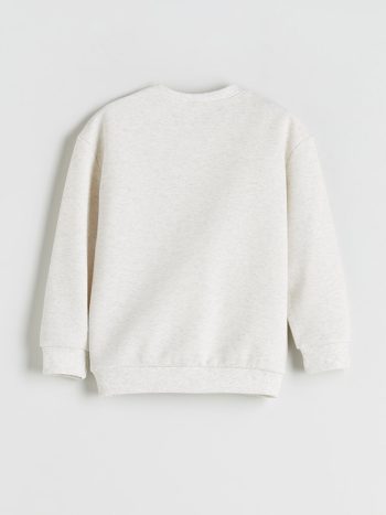 Boys' Long Sleeve Printed Crew Neck Sweatshirt