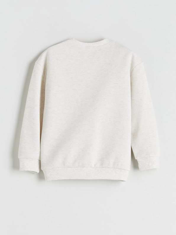 Boys' Long Sleeve Printed Crew Neck Sweatshirt