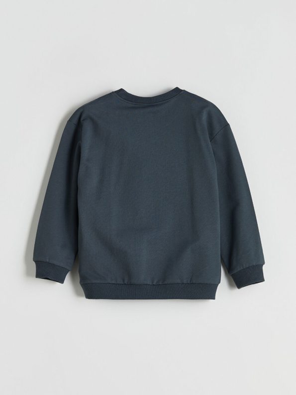Boys' Crew Neck Sweatshirt
