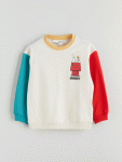 Boys' Crew Neck Sweatshirt