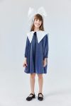 Navy Long Sleeve Dress with Collar Detail for Girls