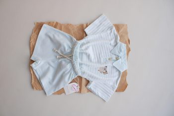 Blue Striped Koala Embroidered Polo Collar Shorts Set