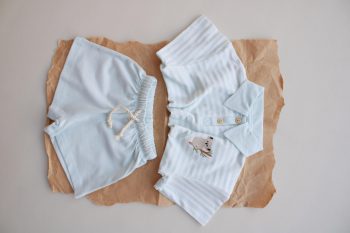 Blue Striped Koala Embroidered Polo Collar Shorts Set