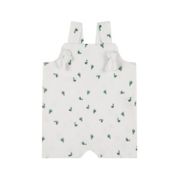 Little Duck Overalls with Shorts