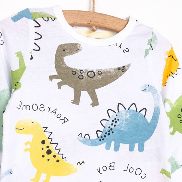 Boys' Cute Dinosaur Print Pajama Set