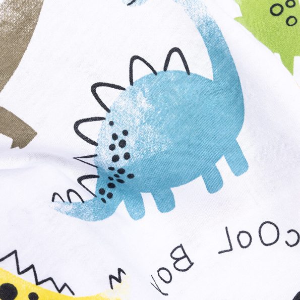 Boys' Cute Dinosaur Print Pajama Set