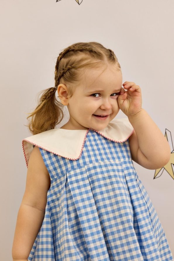 V-Neck Patterned Dress Gingham Blue