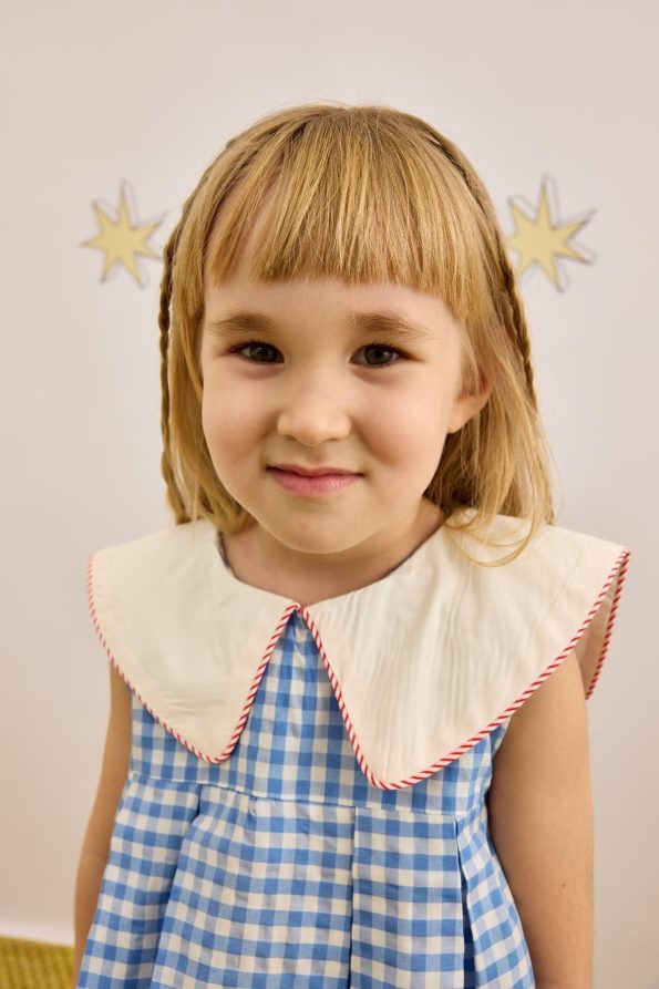 V-Neck Patterned Dress Gingham Blue