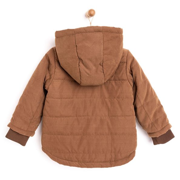 Baby Boy Basic Hooded Padded Jacket with Mandarin Collar in Brown