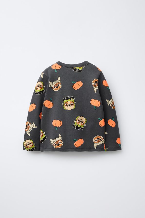 Paw Patrol™ Print Pyjamas for Ages 2-6