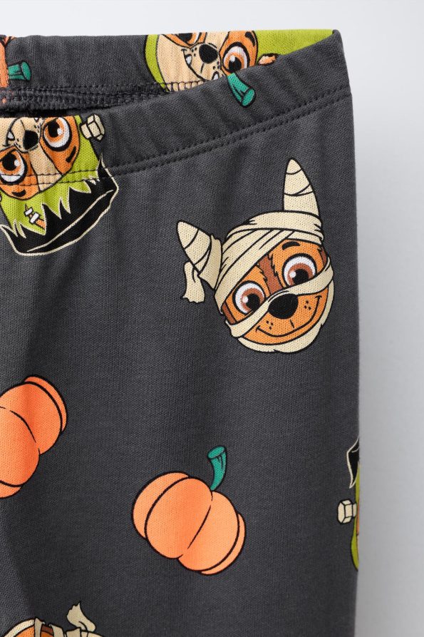 Paw Patrol™ Print Pyjamas for Ages 2-6