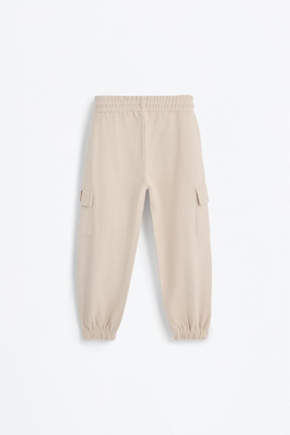 Dragon Ball Cotton Cargo Pants