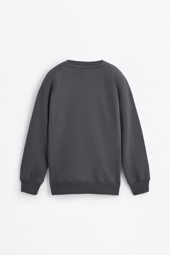 Printed Sweatshirt