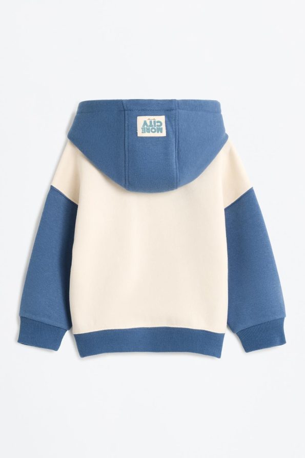 Color Block Cotton Hoodie