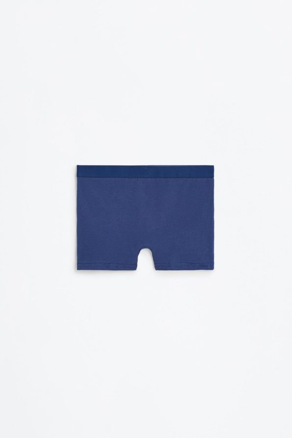 5-Pack Basic Boxer Briefs