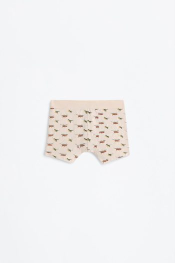 7-Pack Dinosaur Boxer Set