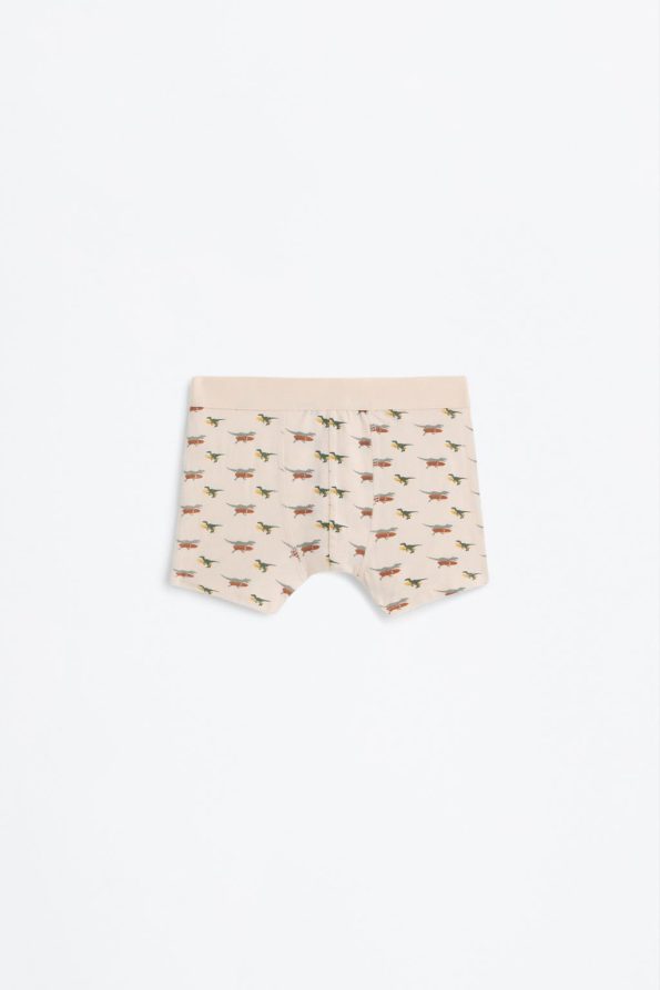 7-Pack Dinosaur Boxer Set