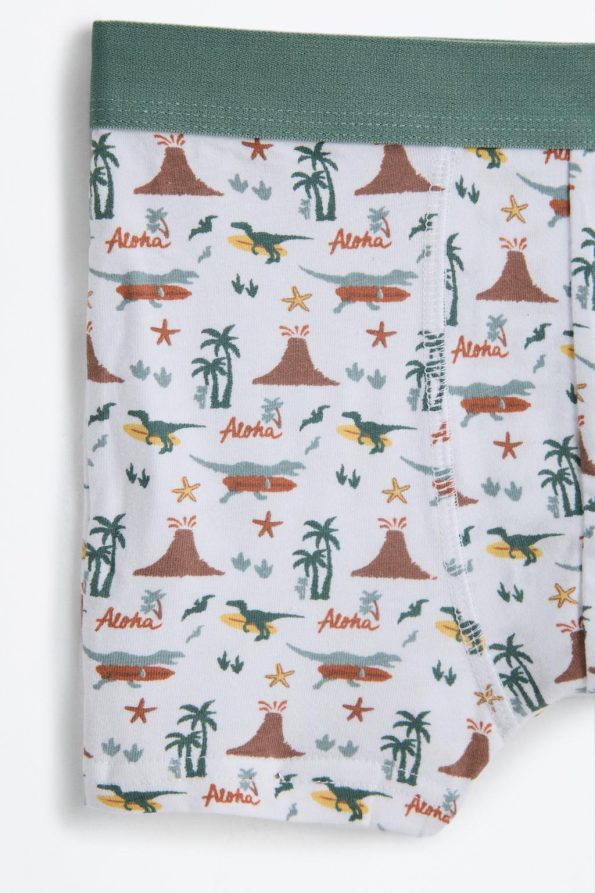 7-Pack Dinosaur Boxer Set
