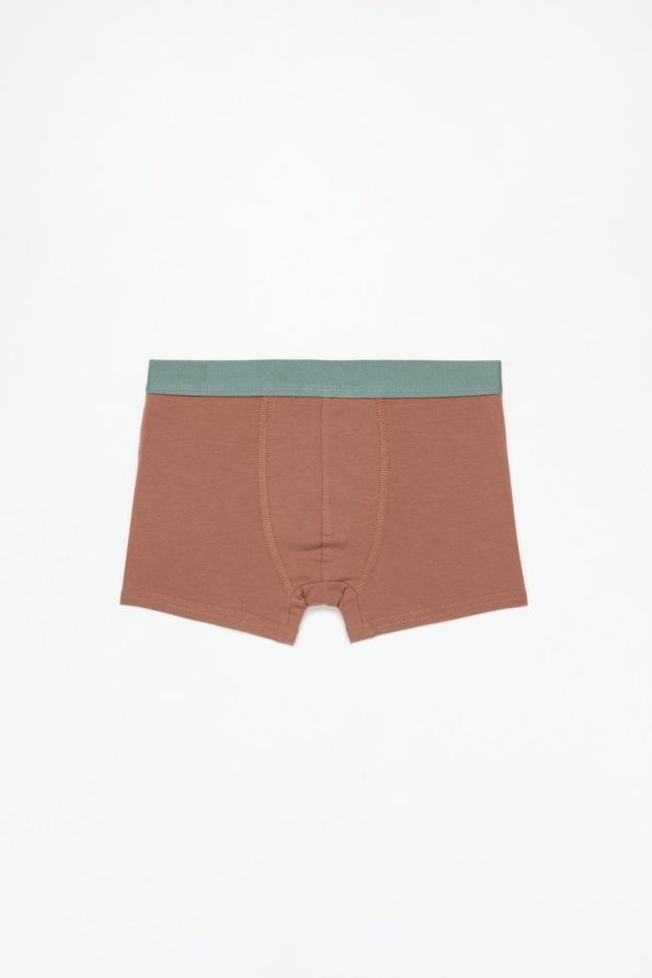 7-Pack Dinosaur Boxer Set