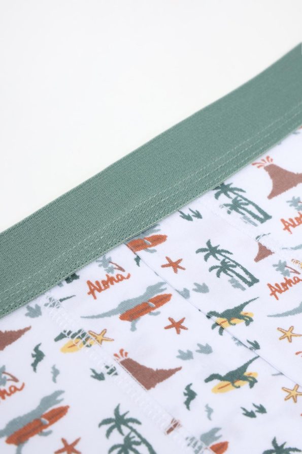 7-Pack Dinosaur Boxer Set