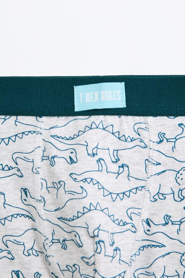 7-Pack Dinosaur Boxer Shorts
