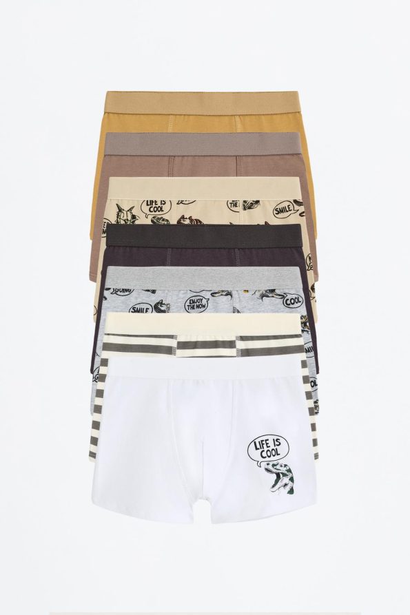 7-Piece Dinosaur Boxer Set