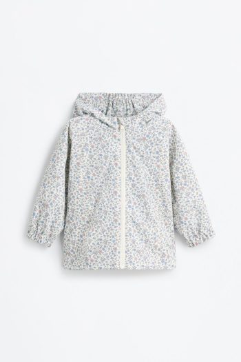 Hooded Windbreaker