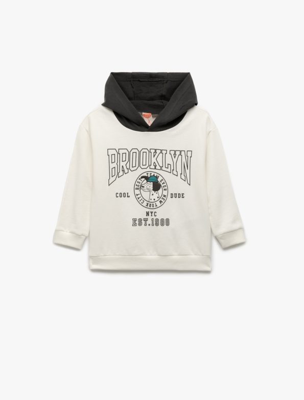 Baby Boy Printed Hooded Sweatshirt