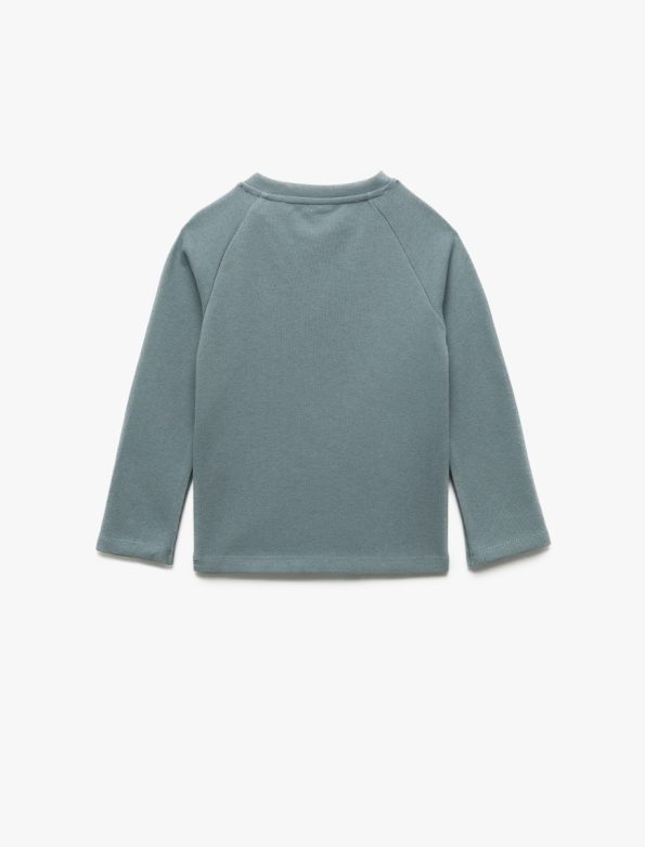 Baby Boy Cotton Sweatshirt