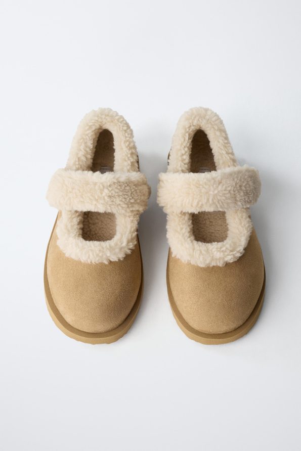Winter Ballerinas