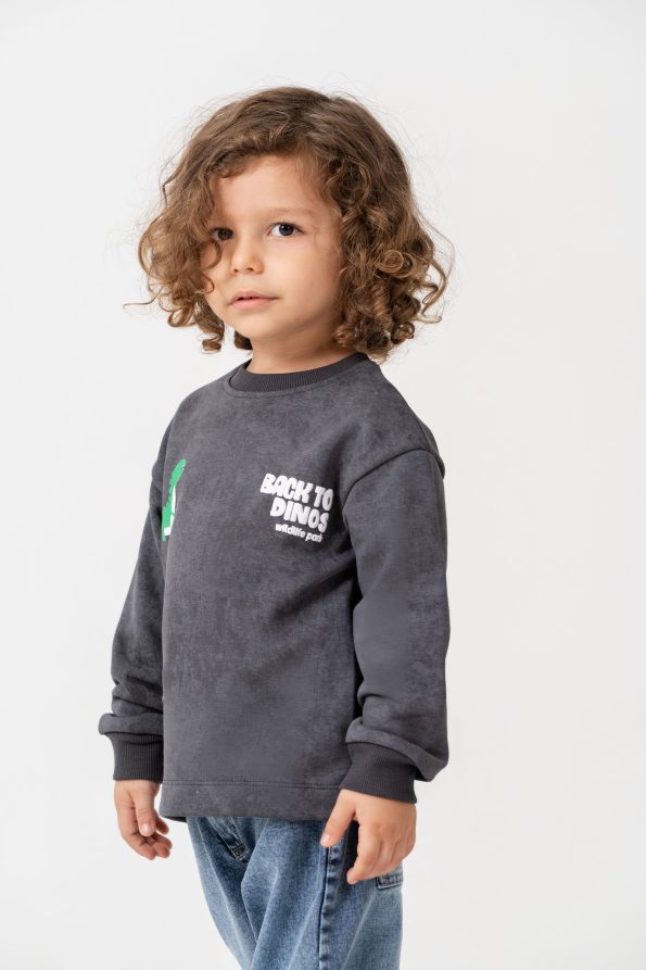 Boys' Cotton Charcoal Dinosaur Print Sweatshirt and Blue Jeans Set - Casual Comfort Style
