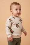 1_org_zoom-455.webp