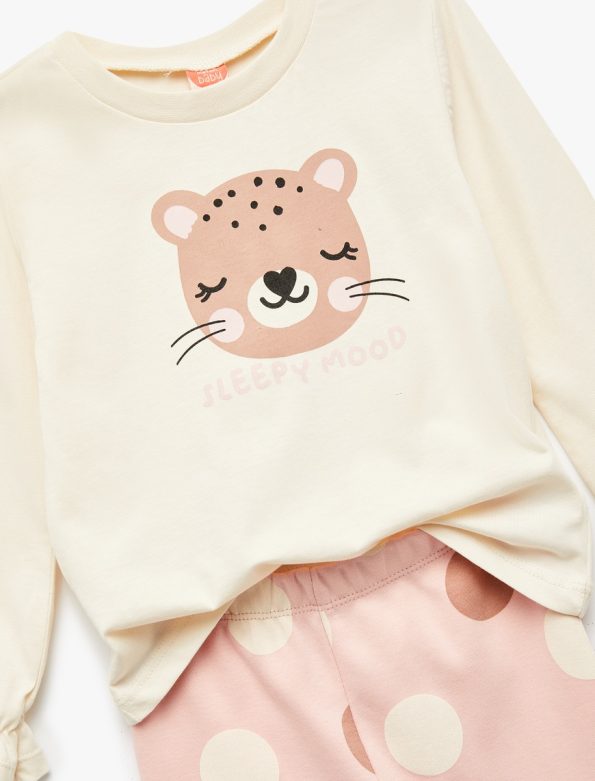 Girls' Cotton Long Sleeve Printed T-Shirt and Leggings Set