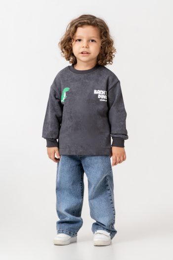 Boys' Cotton Charcoal Dinosaur Print Sweatshirt and Blue Jeans Set - Casual Comfort Style