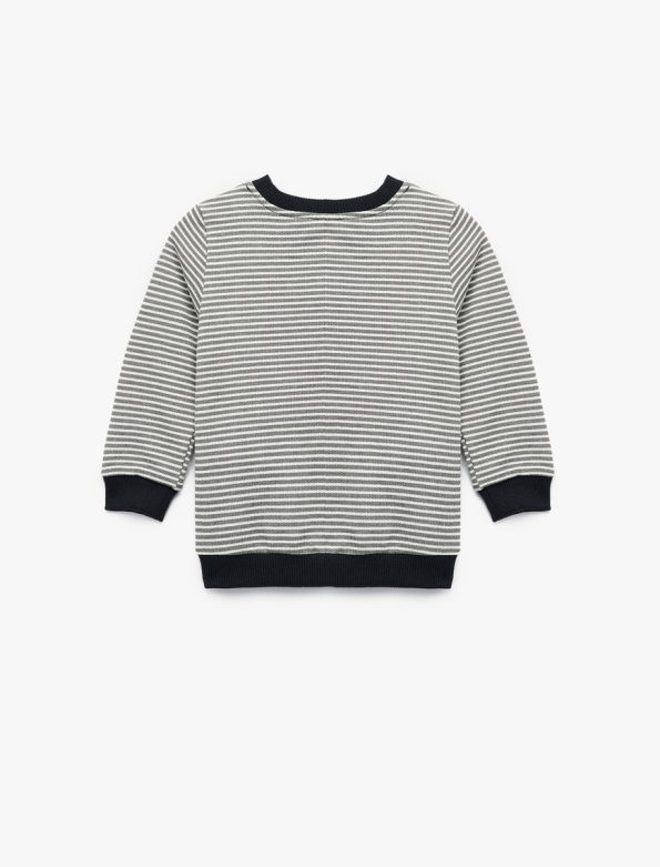 Baby Boy Long Sleeve Animal Embroidered Sweatshirt