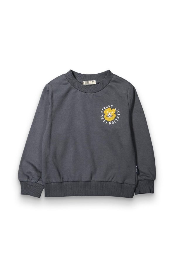 Boys' Cotton 3-Piece Sweatshirt Set - Animal and Character Prints