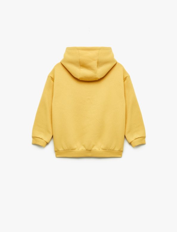 Baby Boy Printed Hoodie