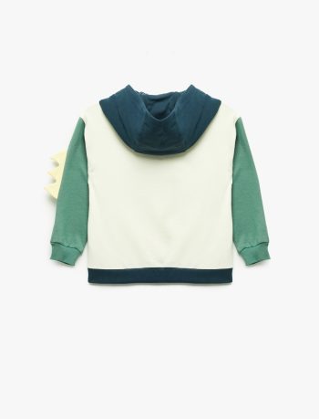 Baby Boy Dinosaur Hoodie