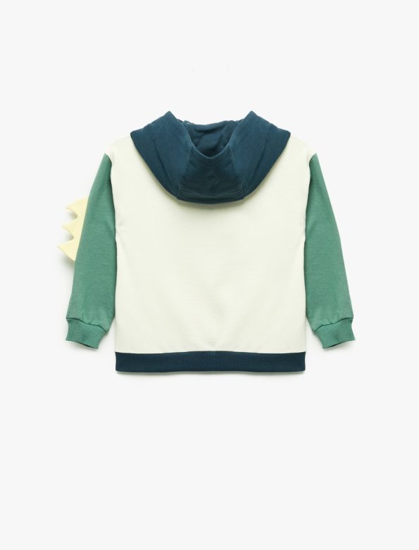 Baby Boy Dinosaur Hoodie