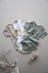 Set of 3 Embroidered Short Sleeve Bodysuits