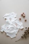 3-Pack Embroidered Short Sleeve Bodysuit Set