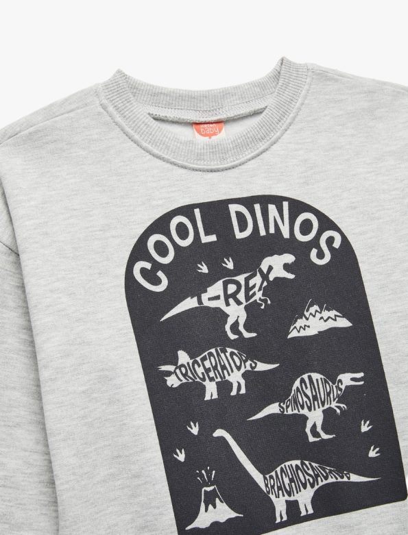 Baby Boy Printed Sweatshirt