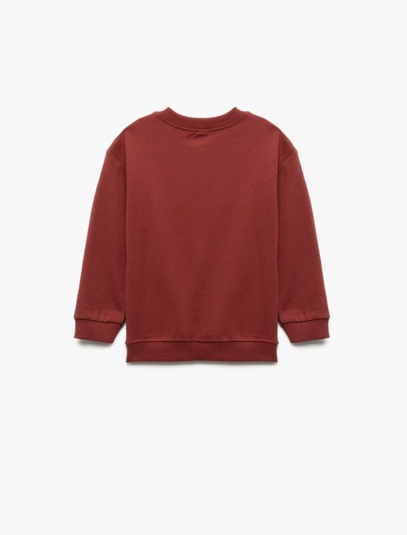 Baby Boy Printed Sweatshirt