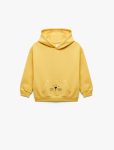 Baby Boy Printed Hoodie