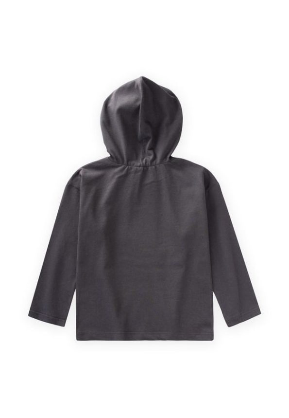 Printed Hooded Seasonal T-Shirt for Kids 2-10 Years Dark Gray