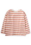 cizgili-mevsimlik-t-shirt-1-10-yas-tur-ea8-4b.jpg